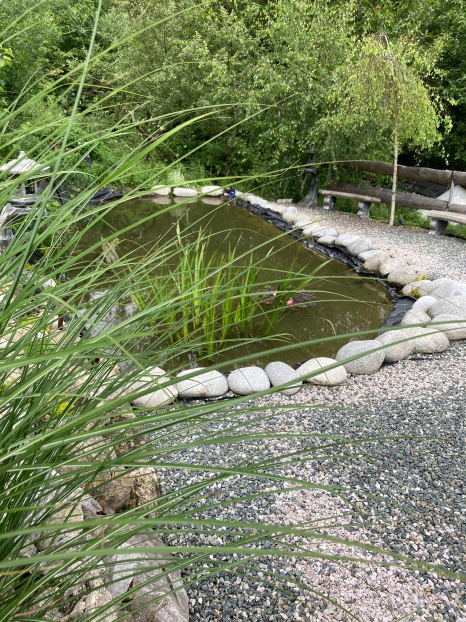 Zawoja Nad Korona Z Jacuzzi 빌라 외부 사진